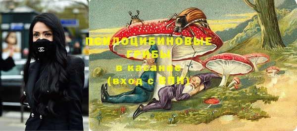 mix Арсеньев