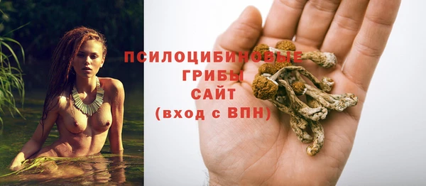 спайс Аркадак
