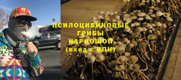стафф Пересвет