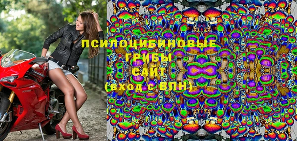 PSILOCYBIN Переславль-Залесский