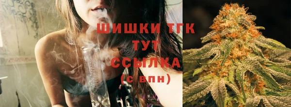 спайс Аркадак